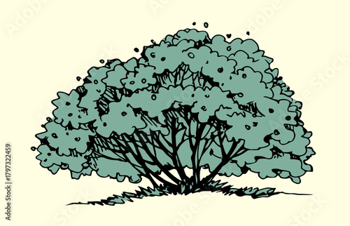 Vector drawing. River in the valley