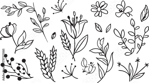Floral vector pack: hand drawn flower and leaf illustrations for design eps silhouette