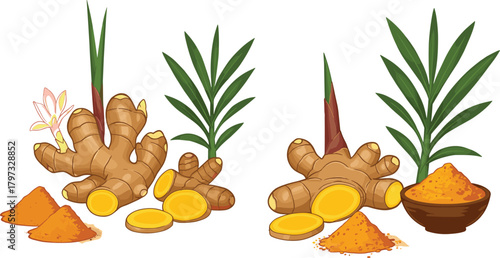 Ginger, turmeric, root, powder, herbal, spice, botanical, illustration, organic, cooking, medicinal, Ayurveda, health, nutrition, plant, healing, culinary, natural, seasoning, vibrant