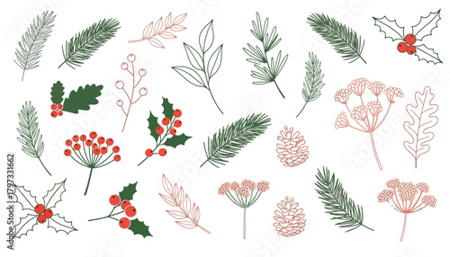 Collection of hand drawn winter botanical elements including pine sprigs holly berries and delicate floral illustrations