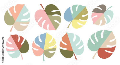 Colorful Monstera Leaf Illustrations: A collection of eight vibrant, segmented monstera leaf designs on a white background.