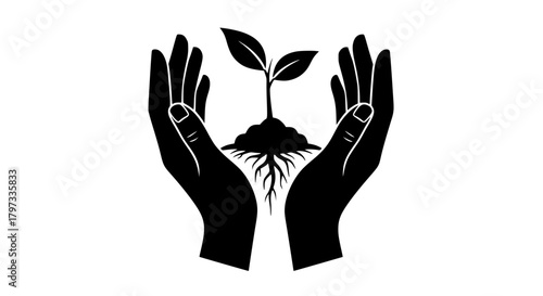 Hands cradling a young plant symbolizing growth care and environmental stewardship.
