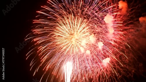 Spectacular Fireworks Display Illuminating the Night Sky with Vibrant Colors.