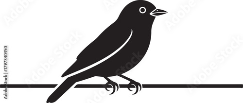 Black bird silhouette perched on a thin horizontal line white background vector