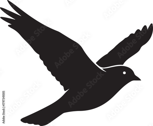 Black silhouette of a bird in flight with wings spread against white vector