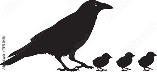 Black silhouette of a crow with three chicks on white background bird baby bird