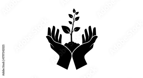 Hands Nurturing a Young Plant Symbol of Growth and Environmental Care.