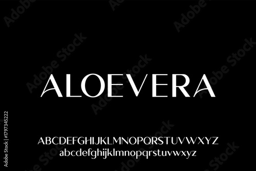 modern sans serif luxury elegant and glamour font, vector typeset
