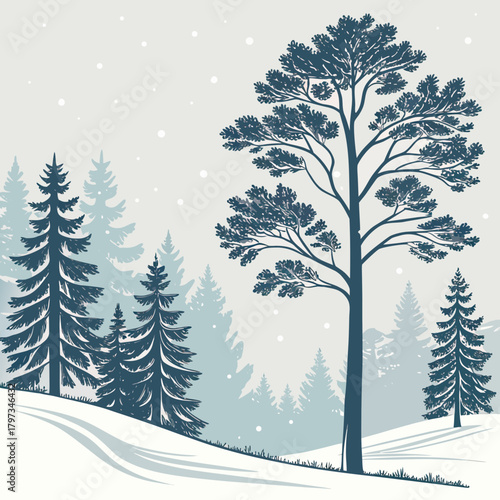 Serene Winter Landscape: A tranquil winter landscape depicting silhouettes of majestic pine trees on gentle hills, softly blanketed in snow, under a serene, snowy sky.