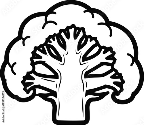 Broccoli floret healthy food ingredient outline drawing concept