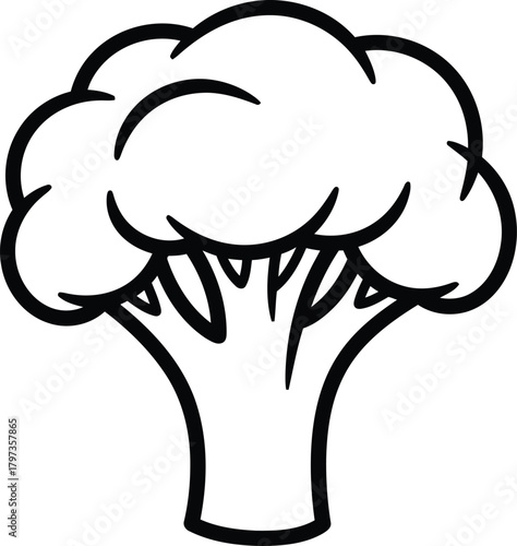 Broccoli vegetable simple outline drawing isolated design element