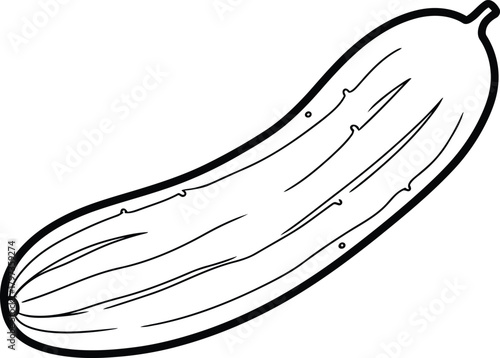 Line art illustration of a fresh cucumber vegetable, healthy food
