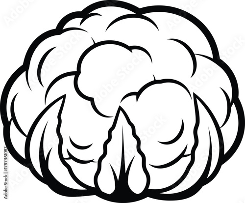 Stylized human brain illustration representing thought and mind