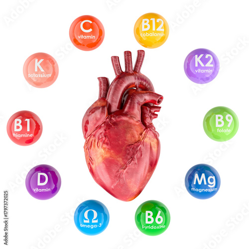 Human heart with vitamins and minerals essential for cardiovascular health. 3D rendering
