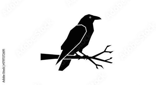 Black Crow Silhouette Perched on Bare Branch.