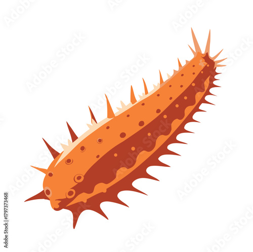 flat sea cucumber vector clean simple marine
