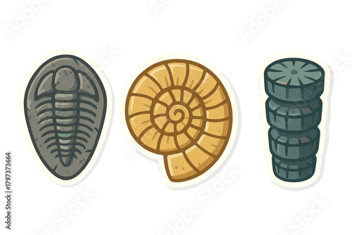 Collection of ancient marine fossils including trilobite, coiled ammonite, and crinoid segments