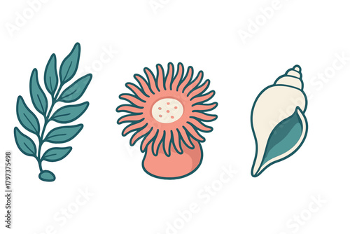 Stylized collection of underwater elements including sea anemone, seashell, and plant life
