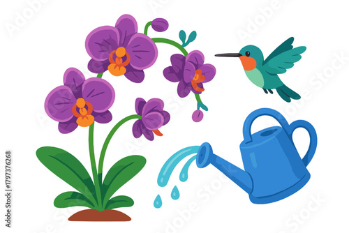 Vibrant purple orchid plant with small hummingbird and blue watering can