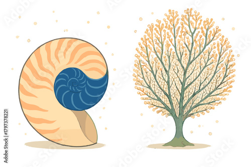 Nautilus shell cross section with golden ratio spiral and stylized branching coral