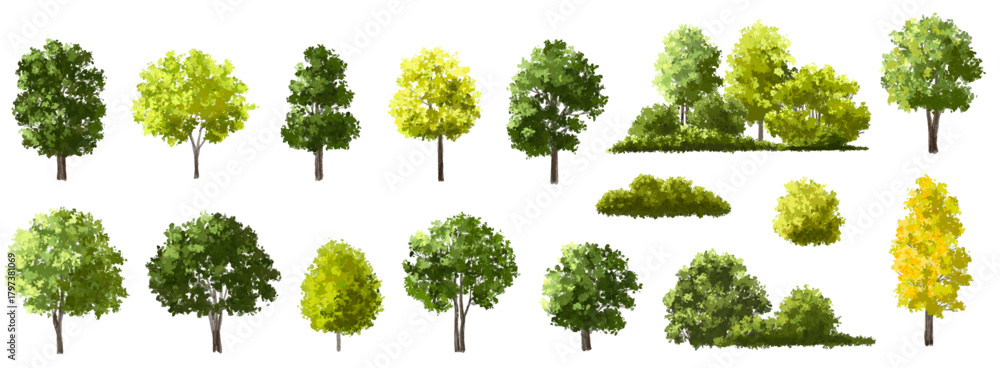 Obraz premium Vector watercolor illustration of a blooming flower tree or forest side view, ginkgo isolated on a white background, suitable for landscape and architecture drawing. The illustration includes elements