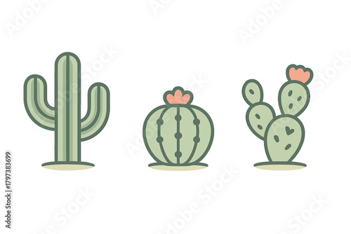 Minimalist set of three desert succulent plants saguaro barrel and prickly pear cactus shapes