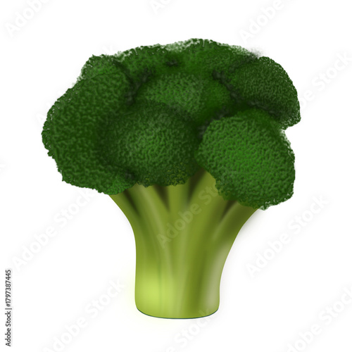 A bright green head of broccoli with dense florets and a juicy, thick stem. A symbol of natural benefits and healthy eating.