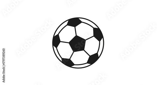 A blackandwhite soccer ball is depicted on a stark white background