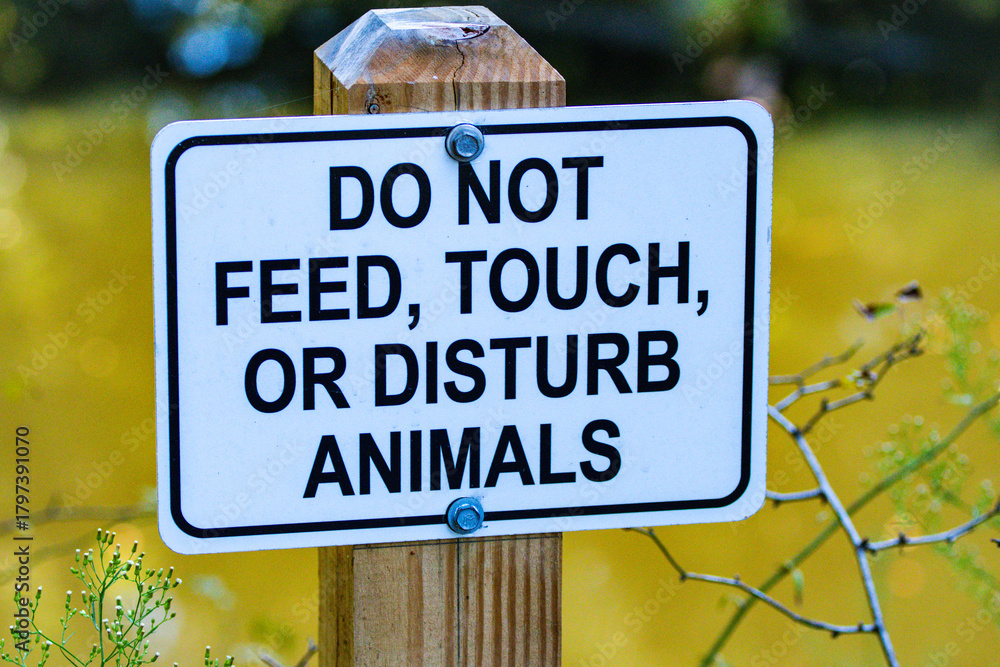 Fototapeta premium do not feed animals sign