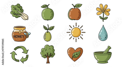 Illustrated set bok choy guava apple honey leaves sunshine raindrop tree heart mortar  pestle  recycling arrows