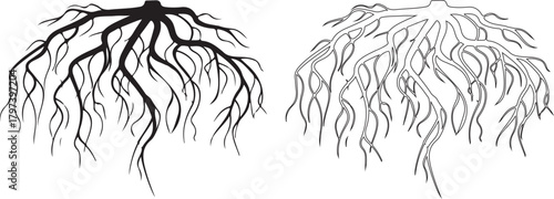 Tree Underground Roots Vector Plant