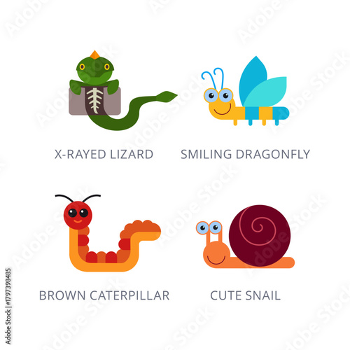 Set of Colorful Cartoon Creatures X-Rayed Lizard, Smiling Dragonfly, Caterpillar, and Snail