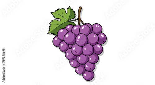 A beautiful illustration of a bunch of ripe purple grapes hanging from a vine with a green leaf