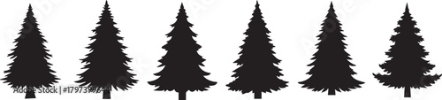 Silhouettes of various pine trees fir tree evergreen