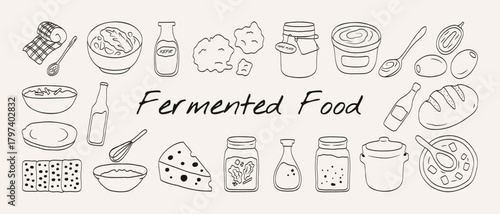 Hand drawn fermented food doodle illustration set