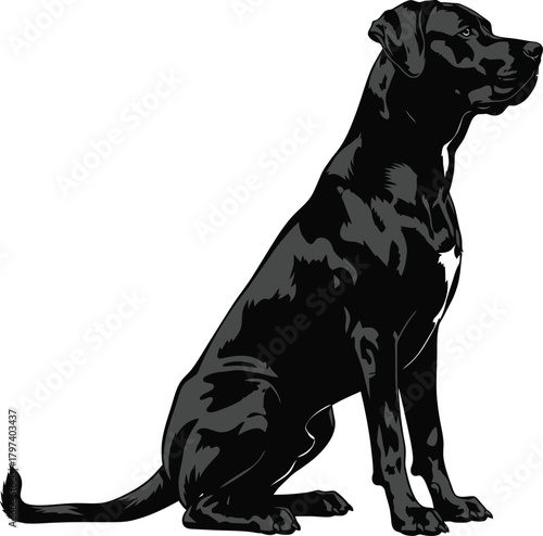 Black labrador retriever sitting illustration dog breed pet animal art eps silhouette