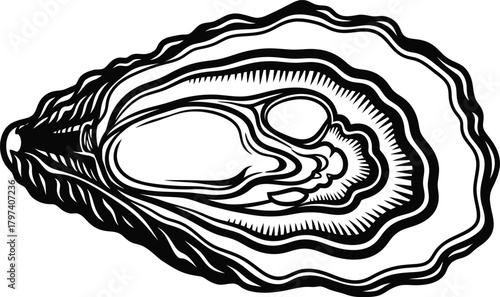 Isolated oyster illustration seafood shellfish mollusk vector graphic eps silhouette