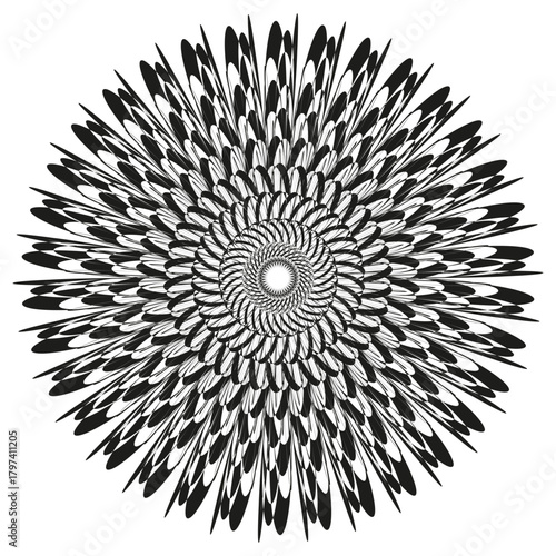 Black white explosion. Radial spiky Vector. Dynamic abstract sunburst. Pattern texture graphic