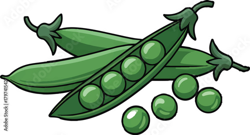 Fresh green olives on a leafy branch isolated on white for healthy organic food photography