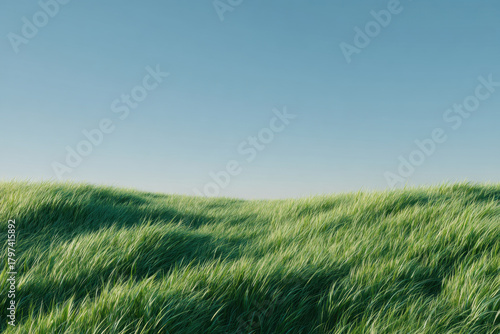 Lush green grass field under clear blue sky, gently rolling hill with soft sunlight and breezy motion creating peaceful natural landscape feeling