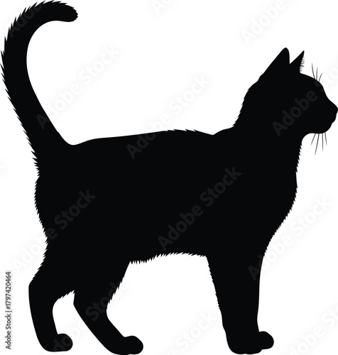 Black cat silhouette standing vector illustration pet feline animal eps