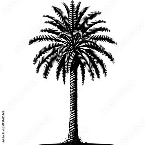 Elegant Woodcut Style Palm Tree Vector Illustration for United Arab Emirates National Day and Cultural Themes