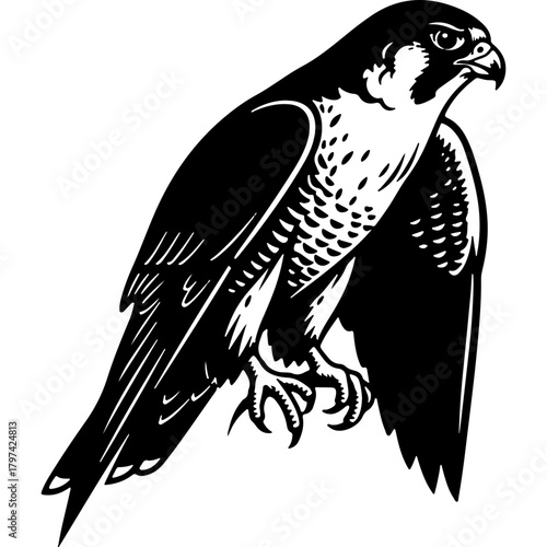 Majestic woodcut style falcon vector illustration, symbolic of United Arab Emirates National Day celebration and heritage.