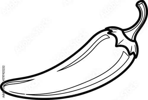 Chili pepper vector illustration outline spicy food ingredient drawing eps silhouette