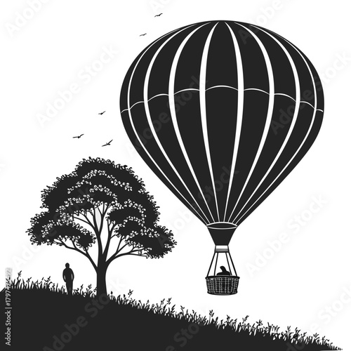 hot air balloon