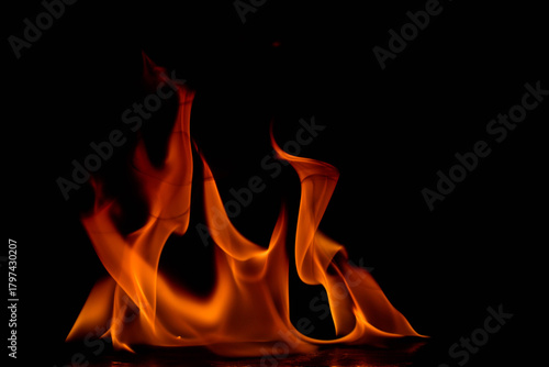 Wallpaper Mural Clustered dense flames arranged together against black background with vibrant orange and red coloring, showcasing intense combustion with dynamic flowing forms and beautiful color gradients, capturin Torontodigital.ca