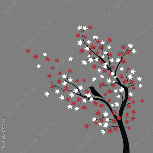 maple red and white leaves tree with bird silhouette on gray background