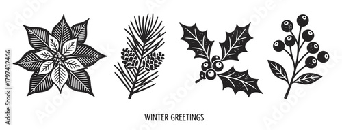 Winter botanicals in woodcut style in black and white