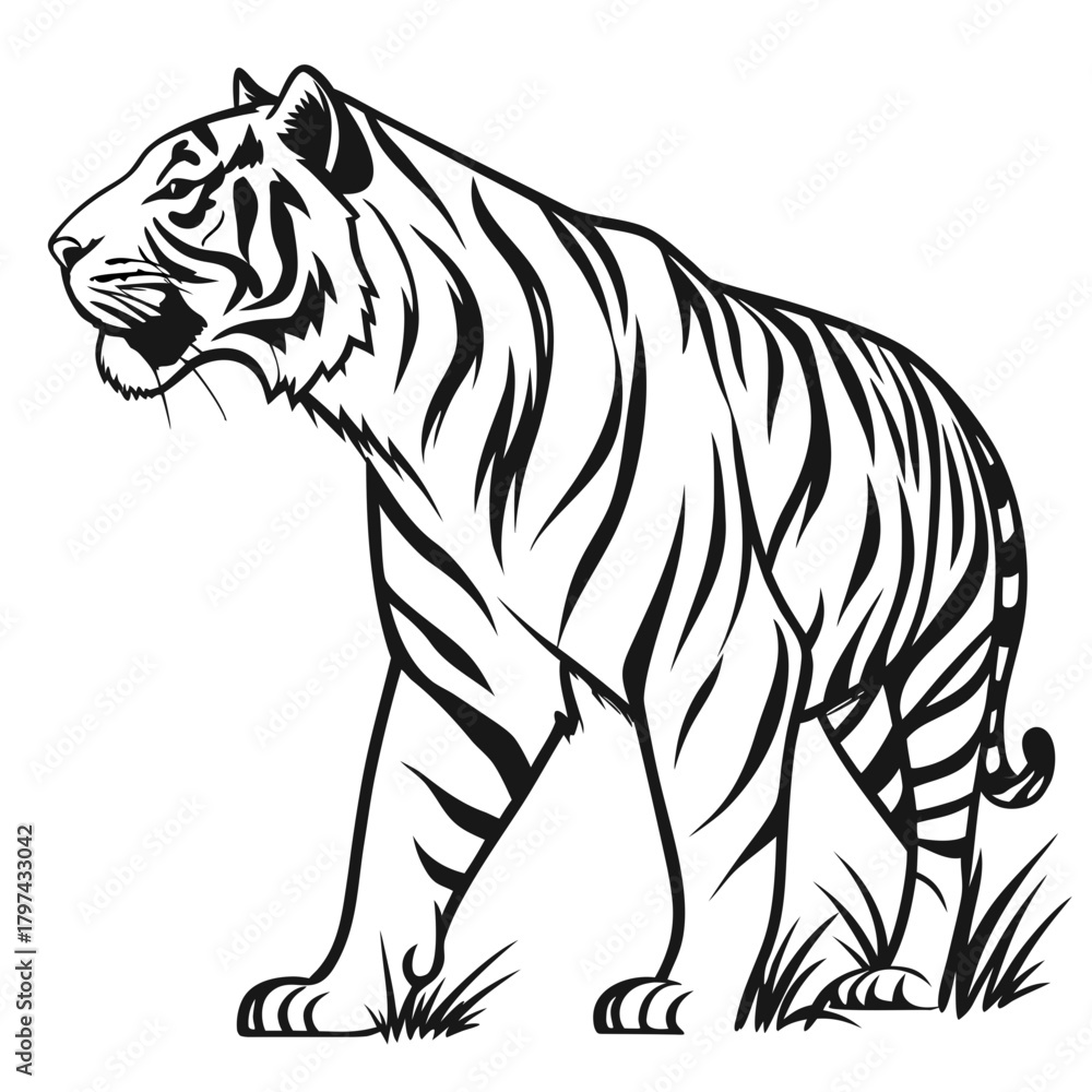 Naklejka premium tiger vector illustration