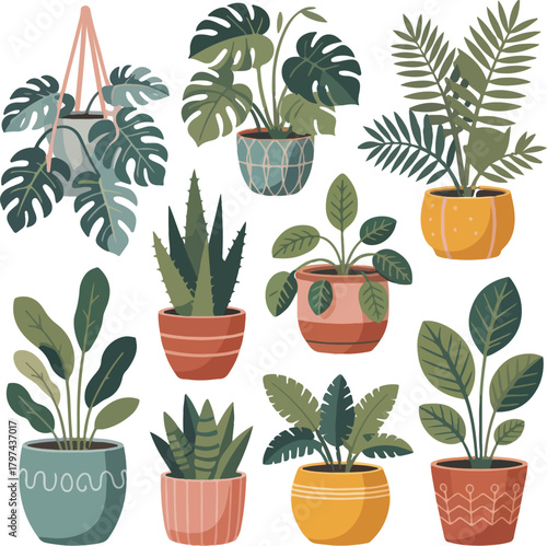 Collection of potted houseplants with monstera aloe and palm leaves potted plants aloe vera